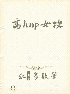 高hnp女攻封面