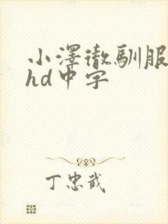 小泽彻驯服人妻hd中字