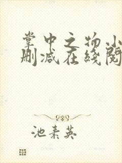 掌中之物小说无删减在线阅读