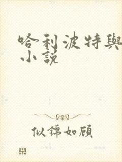 哈利波特与密室小说