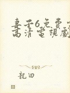 妻子6免费完整高清电视剧在线看