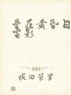 爱在黄昏日落时电影