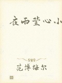 夜雨莹心小说