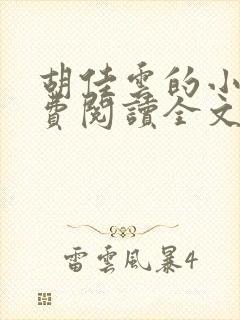 胡佳云的小说免费阅读全文无弹窗