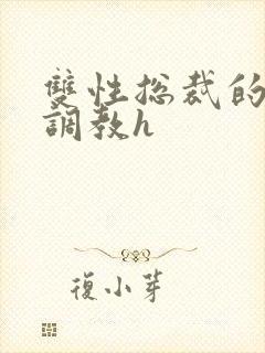 双性总裁的屈辱调教h