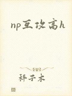 np互攻高h