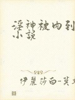 淫神被肉到高潮小说