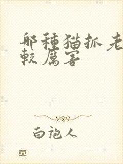 哪种猫抓老鼠比较厉害