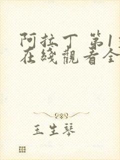 阿拉丁 第1季在线观看全集免费播放封面