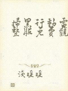 扫黑行动电影完整版免费观看封面