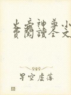 火帝神尊小说免费阅读全文