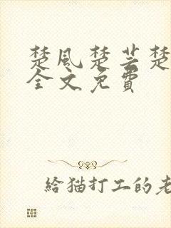 楚风楚芸楚鸿飞全文免费封面