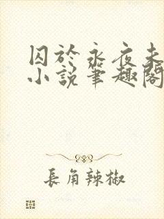 囚于永夜未删减小说笔趣阁