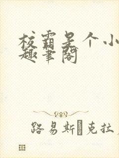 校霸是个小腰精趣笔阁