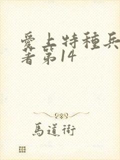 爱上特种兵 原著第14