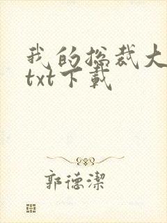 我的总裁大老婆txt下载封面