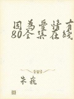 因为爱情有多美80全集在线观看高清封面