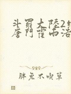 斗罗大陆2绝世唐门霍雨浩魂技封面