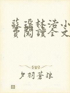 苏瑶林浩小说免费阅读全文最新章节