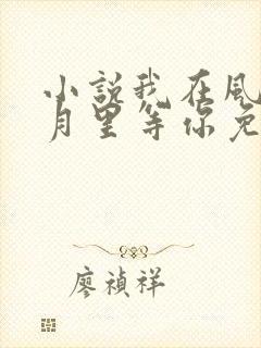 小说我在风花雪月里等你免费阅读