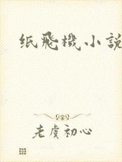 纸飞机小说