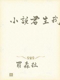 小说君生我已老