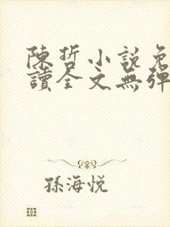 陈哲小说免费阅读全文无弹窗封面