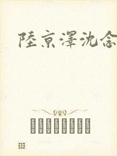 陆京泽沈念小说