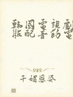 韩国电视剧国语版配音的电视剧封面