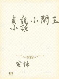 贞观小闲王李慎小说