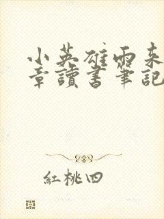 小英雄雨来11章读书笔记