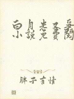 白月光又争又抢小说免费阅读