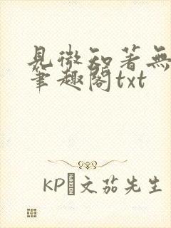 见微知著无删减笔趣阁txt