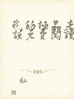 我的极品老婆小说免费阅读全文封面