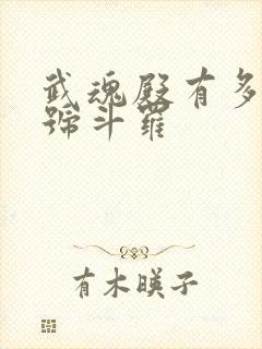 武魂殿有多少封号斗罗