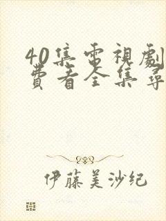 40集电视剧免费看全集寻秦记