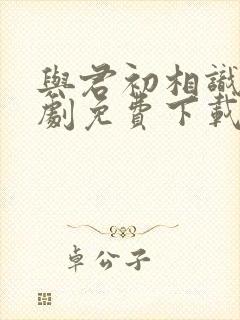 与君初相识电视剧免费下载封面