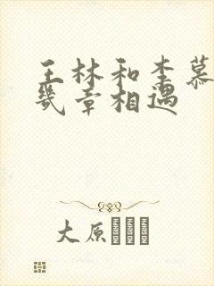 王林和李慕婉第几章相遇