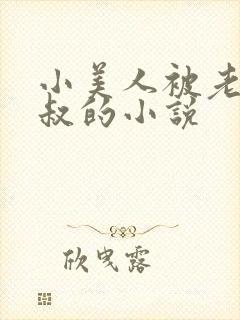 小美人被老肥丑叔的小说