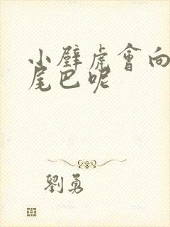 小壁虎会向谁借尾巴呢