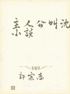 主人公叫沈晴的小说