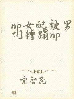 np女配被男主们糟蹋np
