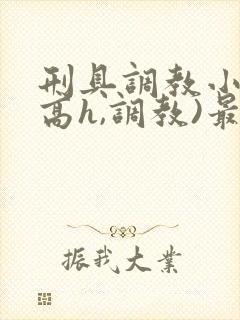 刑具调教小说(高h,调教)最新章节内容