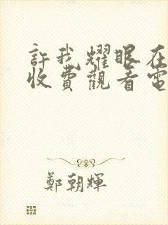 许我耀眼在线免收费观看电视剧