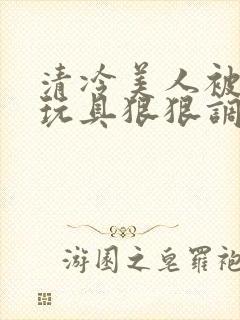 清冷美人被各种玩具狠狠调教小说