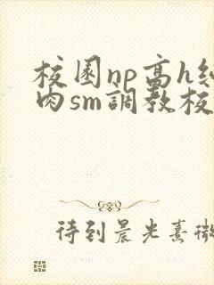校园np高h纯肉sm调教校花