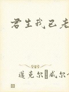 君生我已老晋江