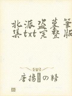 北派盗墓笔记全集txt完整版下载