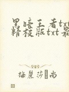 黑暗王者txt精校版txt最新章节