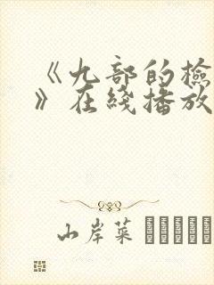 《九部的检察官》在线播放